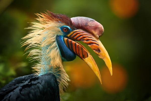 Sembilang National Park