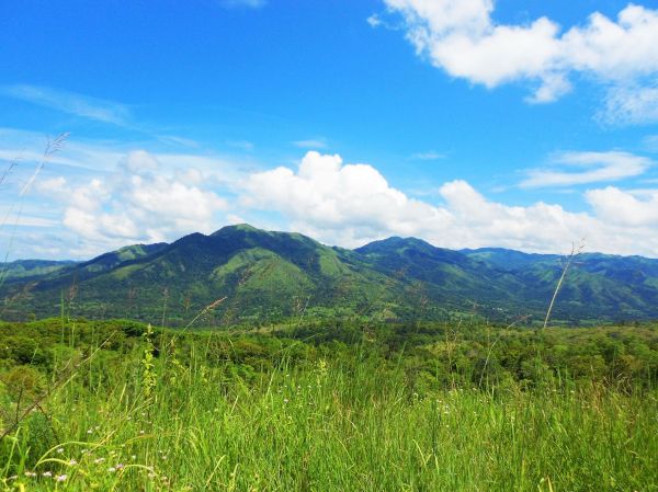 Laiwangi Wanggameti National Park