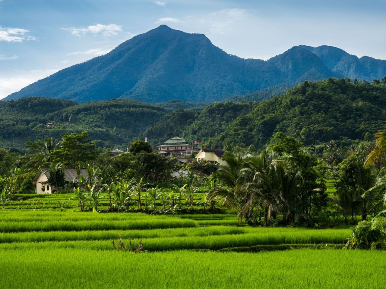 Gunung Halimun Salak National Park